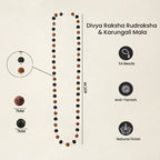 Divya Raksha Rudraksha & Karungali Mala